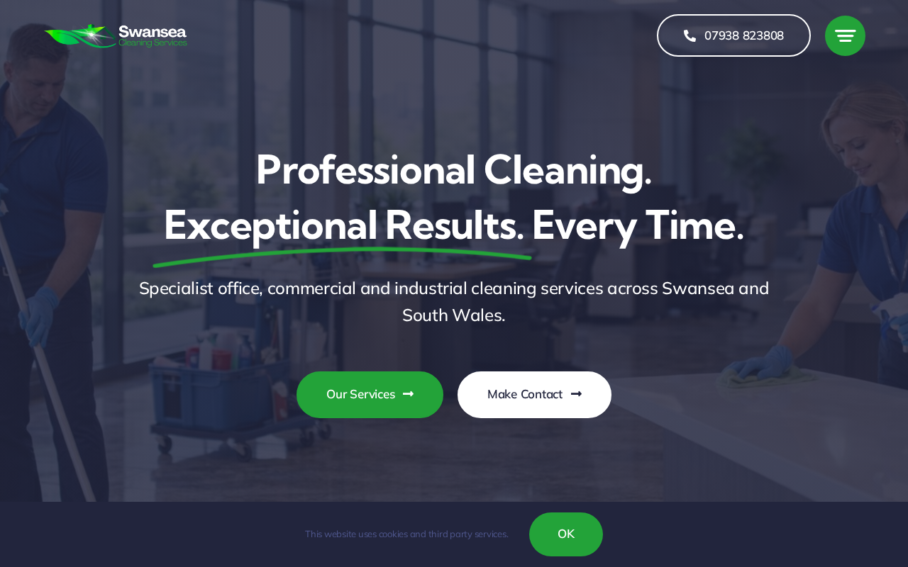 Swansea Cleaning Services — Local SEO that fills the diary